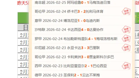 恩佐头球破门，帕尔默助攻，切尔西领跑联赛！